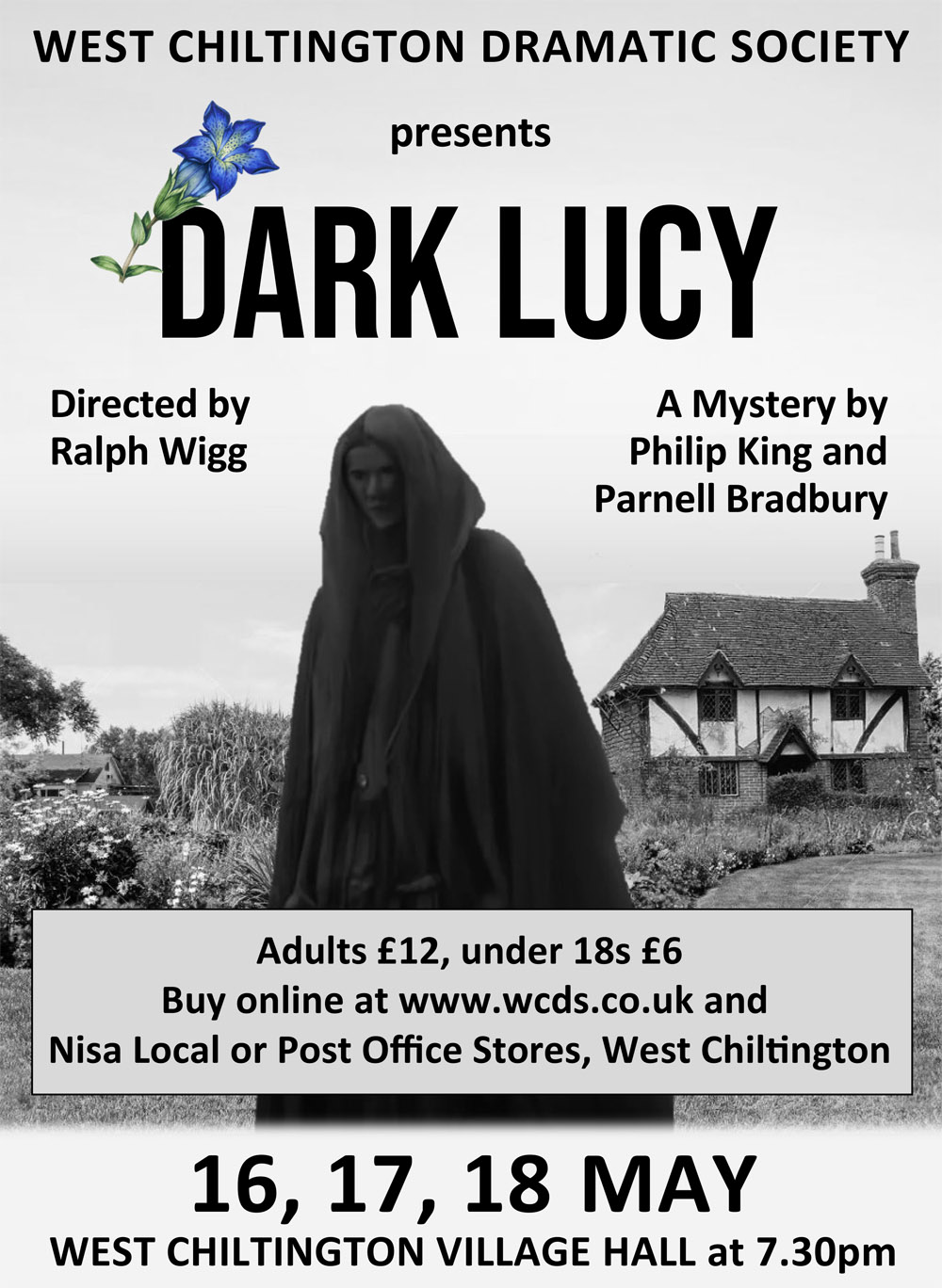 Dark Lucy Poster